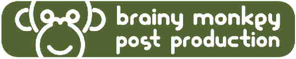 Brainy Monkey Logo